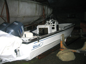 Boston Whaler - Before