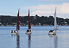 3 Cygnet 20s sailing away