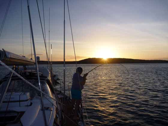 Catching tuna and mackeral and King George whiting