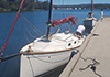 Kotare and Cygnet at Styles Point Jetty